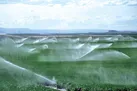 ردپای کشاورزی سنتی و شبکه‌های فرسوده در بحران آب کرمانشاه