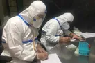 ادامه طرح پایش سلامت مسافران ورودی به کشور / غربالگری بیش از ۸۲۷ هزار نفر
