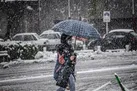 ماندگاری توده هوای سرد تا شنبه هفته آینده/ هشدار سازمان هواشناسی به کشاورزان ۱۶ استان‌ها