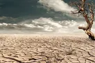 دست پاییز خالی است