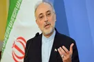 صالحی: به زودی غنی سازی ۲۰ درصد را آغاز خواهیم کرد/ شهید سلیمانی دوراندیش بود
