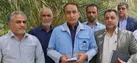آفت زنجره خرما در کمین نخلستان های خوروبیابانک