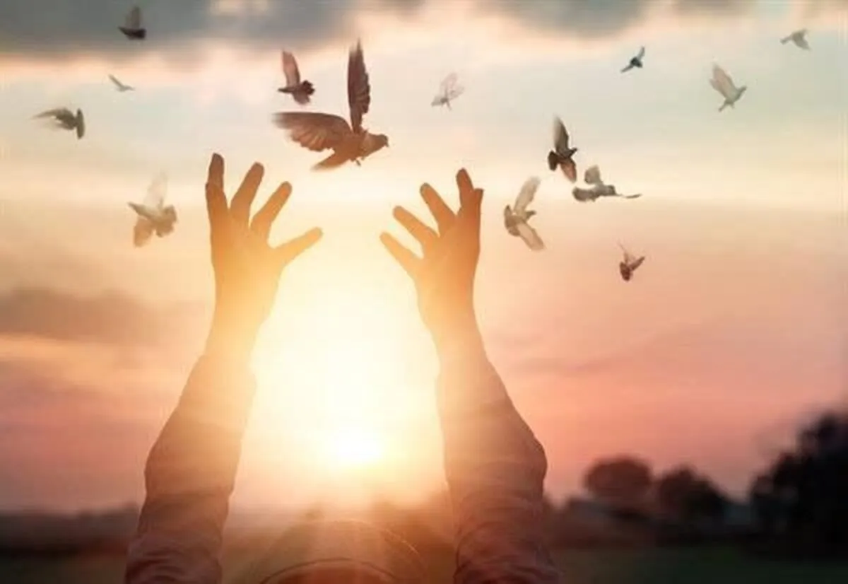 آزادی یک محکوم به قصاص در قزوین 