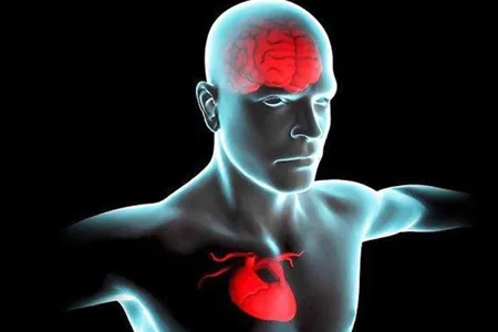 ارتباط فاکتورهای پرخطر قلبی با ریسک ابتلا به زوال عقل