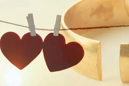 دخالت‌های دردسرساز خواهر دوقلو