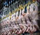 مرغ ۸۳ هزار تومانی مورد تایید نیست | مرغ گرم برای جبران کمبود وارد شد