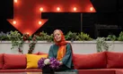 حیوانات دوست‌داشتنی «شبکه کوچک»