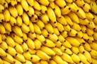 پاسکاری واردات موز