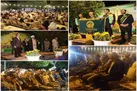 جشنی برای همراهی نوعروسان نیازمند به خانه بخت