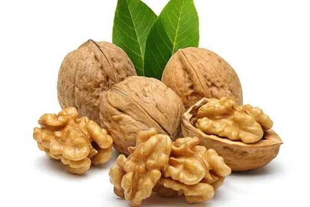 چقدر گردو بخوریم تا دچار بیماری قلبی نشویم؟