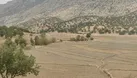 محصولات کشاورزی لوداب به ۱۵۰ کیلوگرم در هکتار رسید