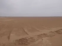 مقابله با گرد و غبار در سراجه قم از پاییز امسال