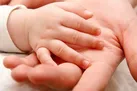همه چیز در مورد فتالات‌ ها