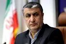 رئیس سازمان انرژی اتمی منصوب شد