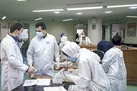 شناسایی ۲۱۳ بیمار جدید کرونایی در کشور | ۵ نفر دیگر فوت شدند