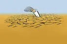 بی‌تعارف آب نیست!