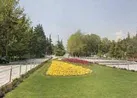 تنش آبی در فضای سبز شهری به دلیل خروج چاه‌ها از دور آبیاری