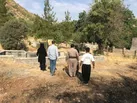گورستان تاریخی و درختان هزارساله شمشیر پاوه ثبت ملی می‌شوند
