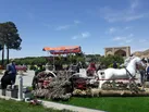 گذر گل در ضلع جنوبی پل خواجو ایجاد شد