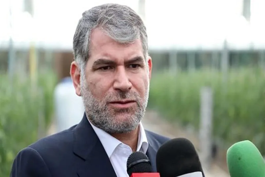 مشکل صادرات مرغ به افغانستان و عراق حل شد