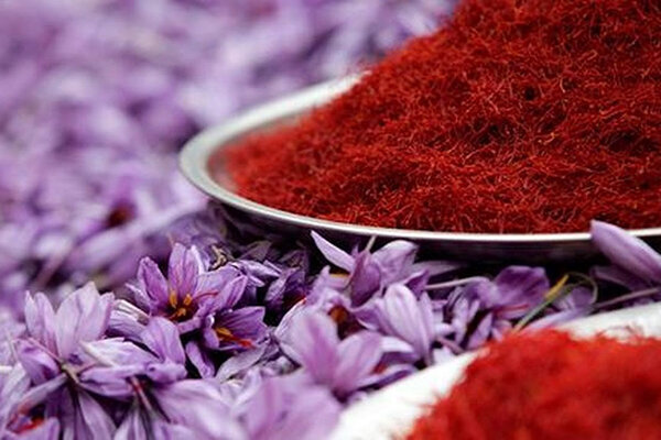 استاندارد؛ سپر بلندی در برابر تقلب‌ها برای سرخ‌ترین طلای ایران