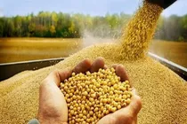 احتکار نهاده روی آب