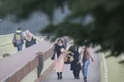 وزش باد شدید در اکثر نقاط کشور / آسمان تهران جمعه ابری است