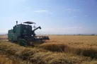 تلاش فناورانه برای یک خودکفایی راهبردی؛ طرح برتر جشنواره خوارزمی