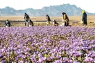 خروج طلای سرخ از وضعیت قرمز