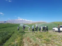 در برخورد با کشت‌های ممنوعه جدی هستیم