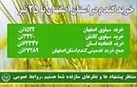 میزان خرید تضمینی 67هزار 289تن گندم بصورت تضمینی در سطح استان