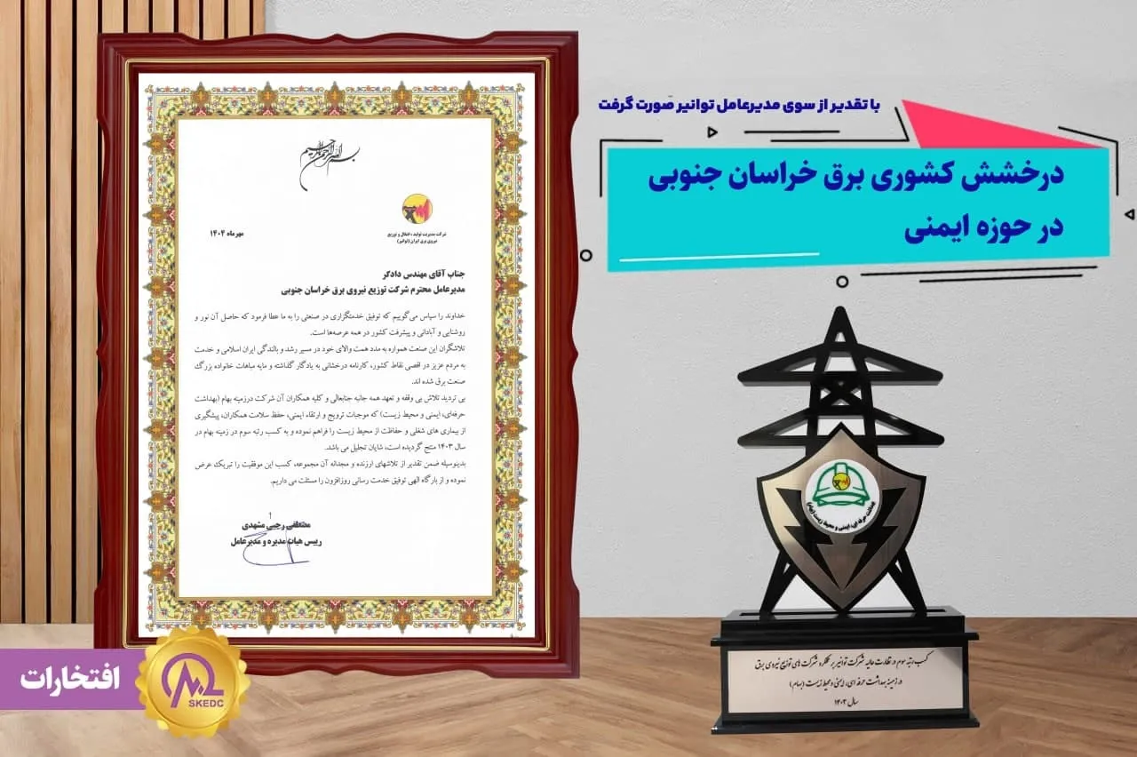 درخشش کشوری توزیع نیروی  برق استان خراسان جنوبی در حوزه ایمنی