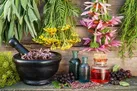 با مصرف ایمن عرقیات گیاهی تندرستی خود را حفظ کنیم