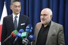 درخواست همکاری از ژاپن برای بررسی کارشناسی مسائل زیست محیطی خوزستان