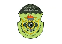 دستگیری ۳ متهم مرتبط با شبکه جاسوسی توسط پلیس امنیت عمومی