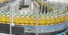 ۴ راه خودکفایی تولید روغن