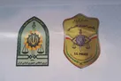 انهدام باندهای سوءاستفاده‌گر از ارز دولتی/ دستگیری ۲۰۳ نفر