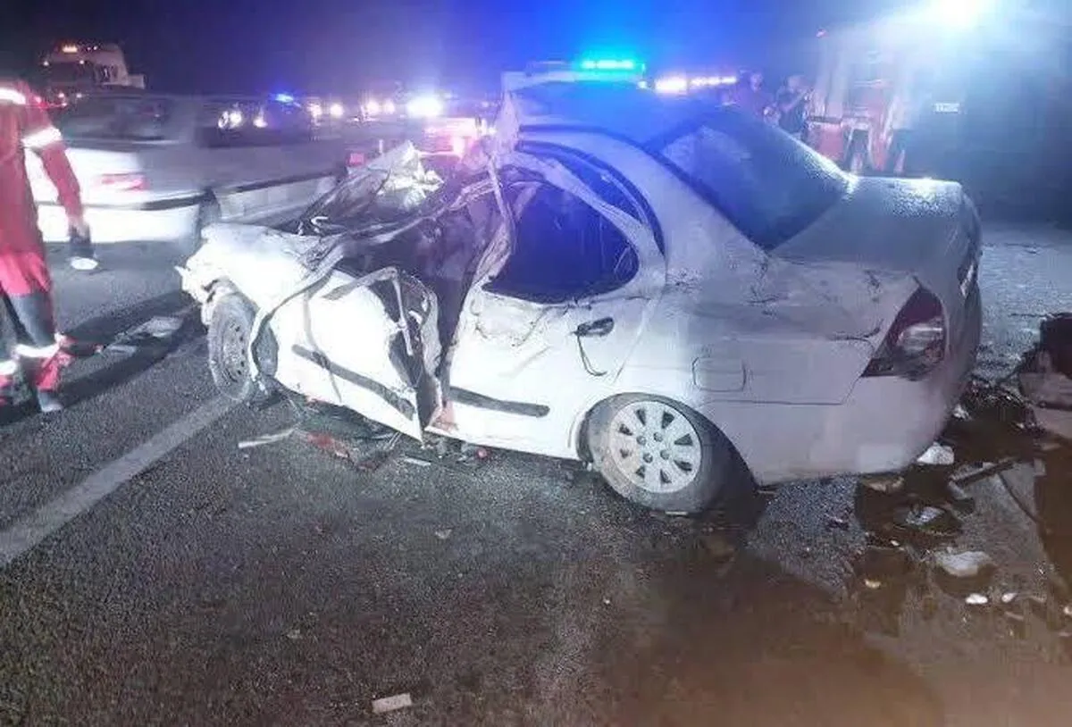 غذادهی به سگ‌های ولگرد در حاشیه جاده‌ها می‌تواند عامل پنهان تصادفات مرگبار باشد