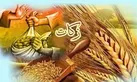 نیکوکاران یزدی 25 میلیارد تومان زکات پرداخت کردند