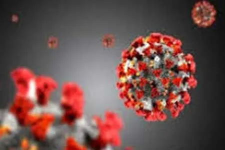 کرونای بعدی می‌تواند از هر 3 نفر جان یک نفر را بگیرد