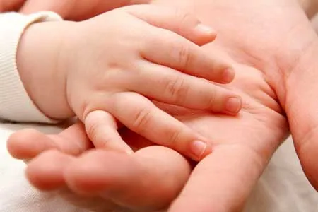 همه چیز در مورد فتالات‌ ها