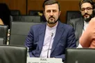 هیأت مذاکره کننده در وین نتایج گفتگوها را به طور منظم به مقامات عالی گزارش می‌کند