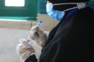 ۲ میلیون و ۲۰۰ هزار دُز واکسن برکت تحویل وزارت بهداشت شده است