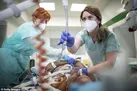 «اختلال استرس پس از سانحه» در اعضای کادر درمانی کرونا