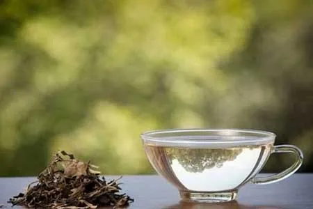 از چای سفید و تاثیر آن در رفع چاقی چه می‌دانید؟