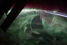 شفق قطبی بر فراز آسمان کانادا
