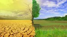 زردی کویر جای خود را به سبزی جنگل می‌دهد