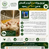 پیشتازی گلستان در تولید مرغ