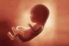 داشتن دو زايمان موفق؛ شرط كانديد شدن بعنوان رحم جايگزين (فيلم)