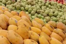 قیمت انواع میوه در میادین میوه و تره بار چند؟